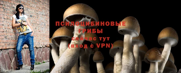 PSILOCYBIN Богданович